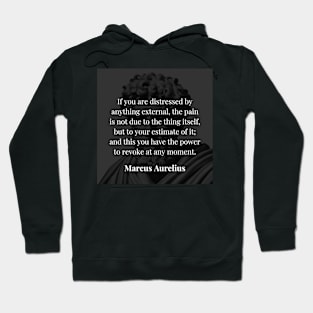 Marcus Aurelius's Wisdom: The Power of Perspective Hoodie